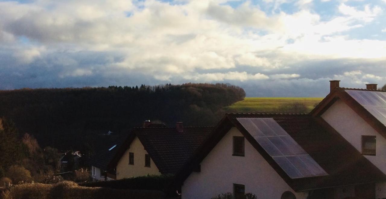 Fernblick Apartment Zweibrücken Екстериор снимка