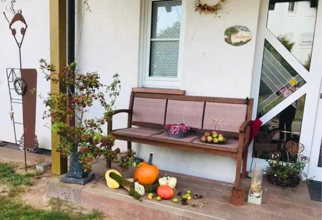 Fernblick Apartment Zweibrücken Екстериор снимка
