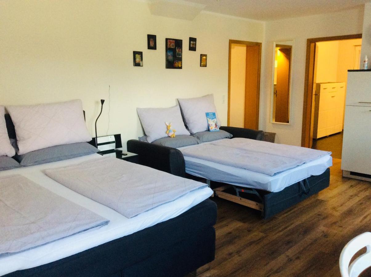 Fernblick Apartment Zweibrücken Екстериор снимка